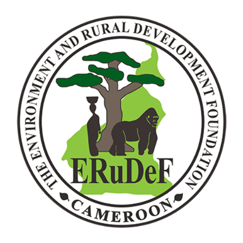 ERuDeF_logo_small_color ERuDeF_logo