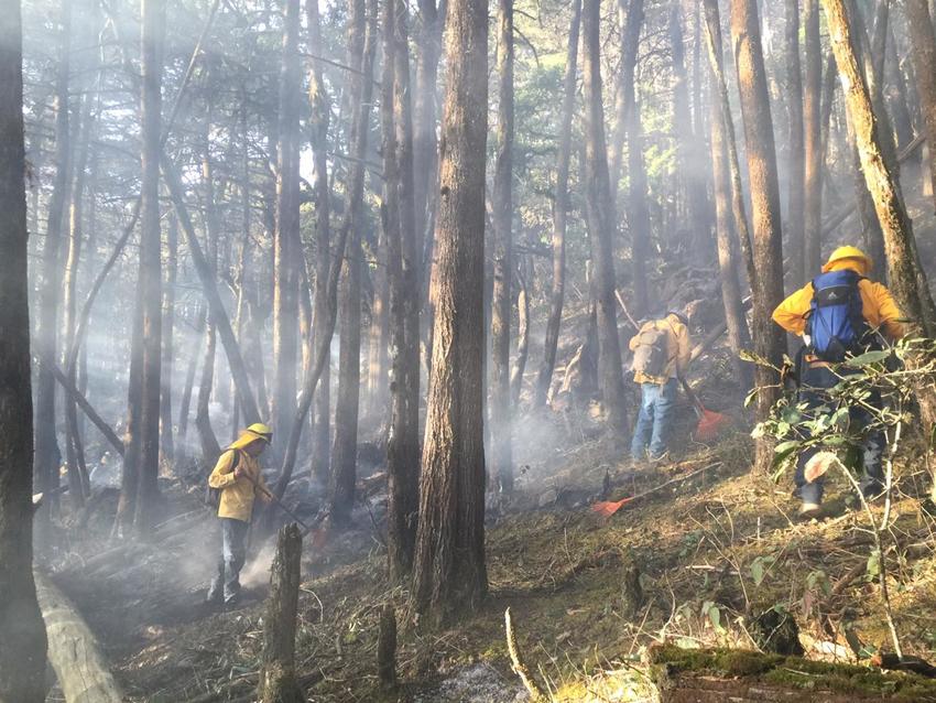 Fire in Sierra Gorda, Mexico. Credit:GESG