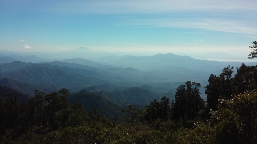 View at Volcan Pacayita Reserve. Credit:AESMO