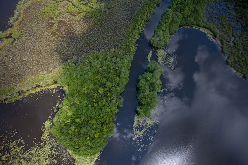 Laguna Grande. Credit: Robin Moore