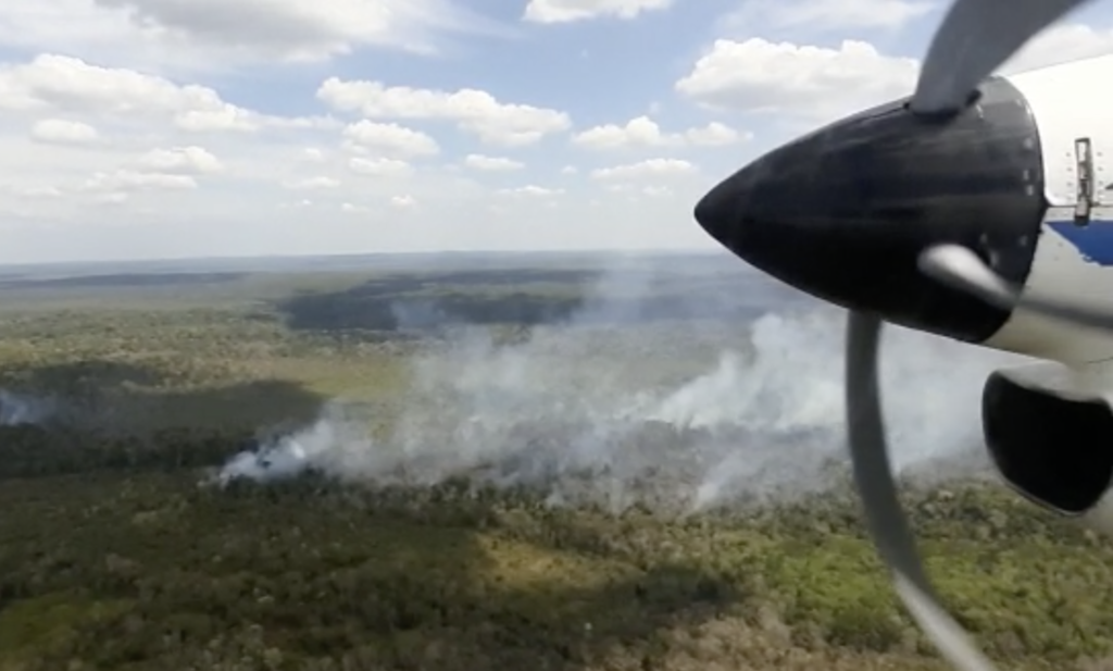 A view of smoking fires in Guatemala, from a small plane. Credit: FUNDAECO