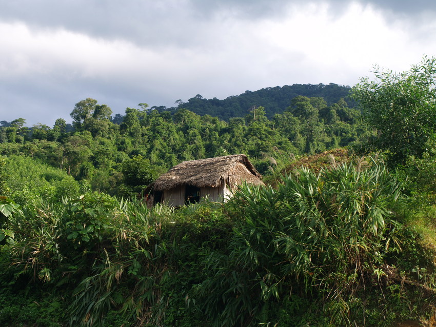 A traditional Van Kieu house on the outskirts of Khe Nuoc Trong, Carbon Balanced project in Vietnam. Credit: WLT/Natalie Singleton