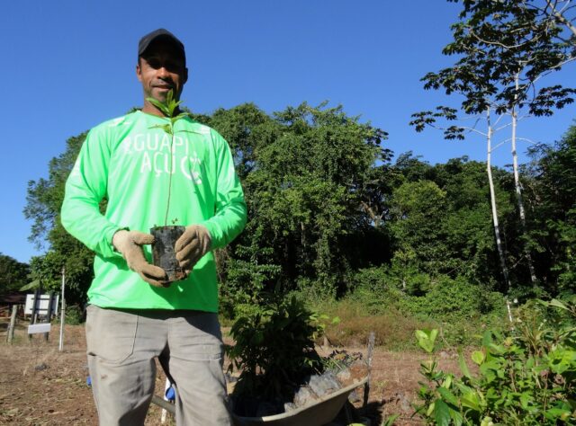 Mauricio Noqueira holding a sapling at REGUA, Brazil.