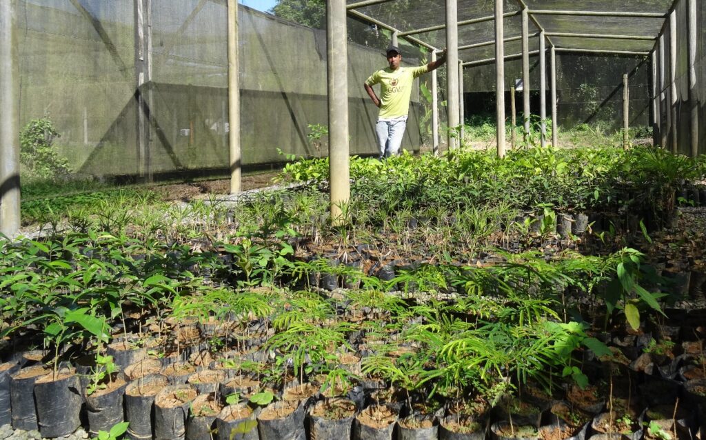 Mauricio Noqueira standing in the tree nursery at REGUA Brazil.