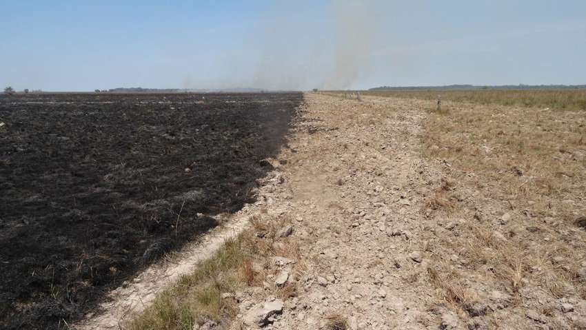 Image of a successful firebreak on the boundary of Barba Azul reserve, Bolivia.