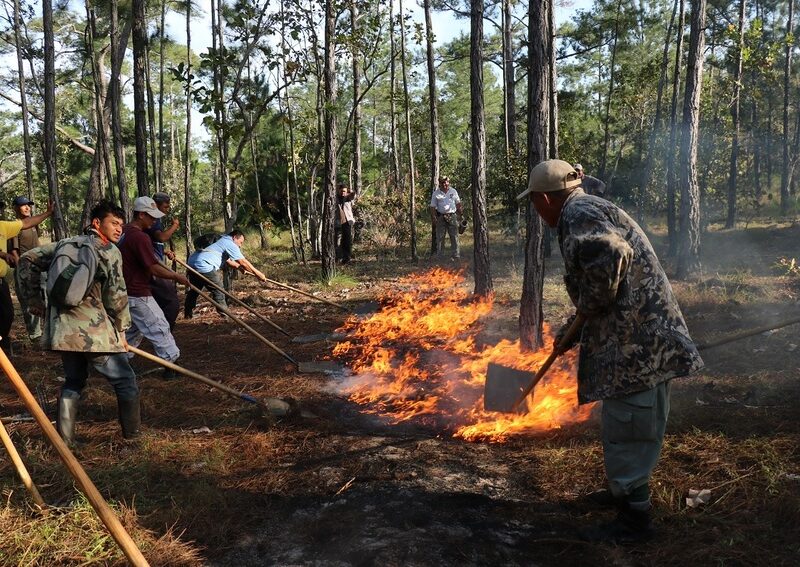 Rangers undertaking fire prevention training in Belize. Image credit: Vladimir Rodriguez