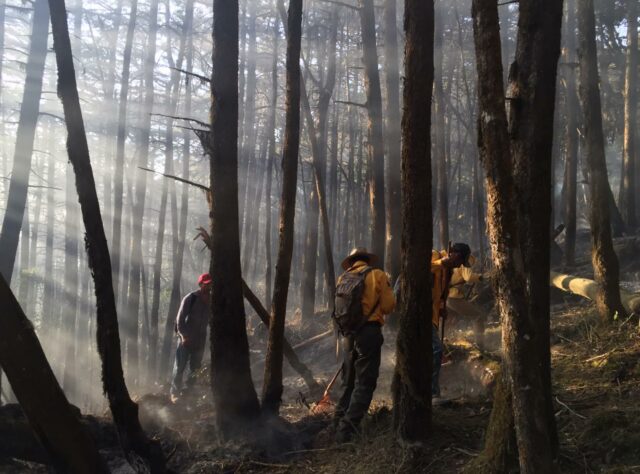 Firefighters tackling a blaze in the pine forests of Sierra Gorda ©GESG