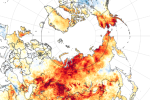 Map of land surface temperature anomalies from March 19 to June 20, 2020. Image credit: NASA.