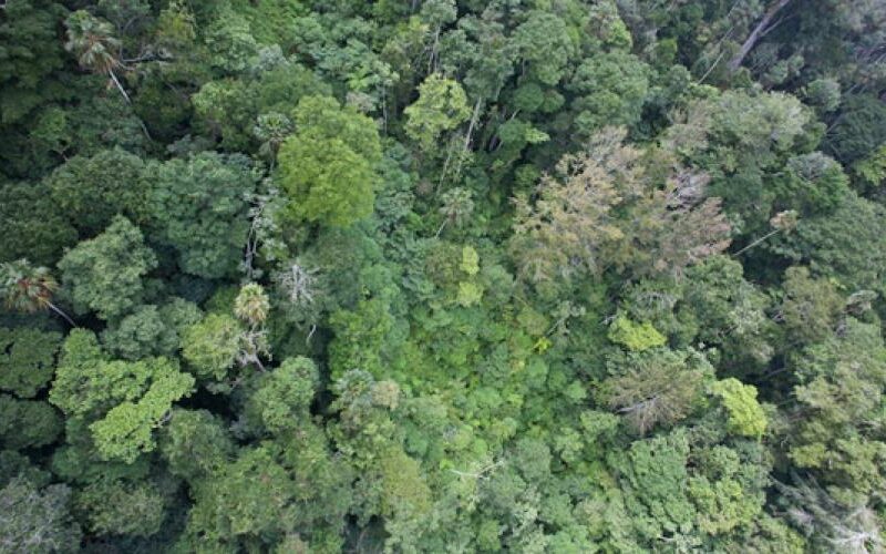 Sierra caral from the air Image credit: IUCN Netherlands.