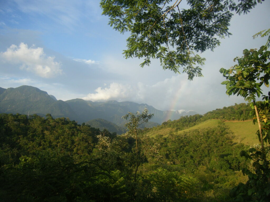 Mountains of REGUA