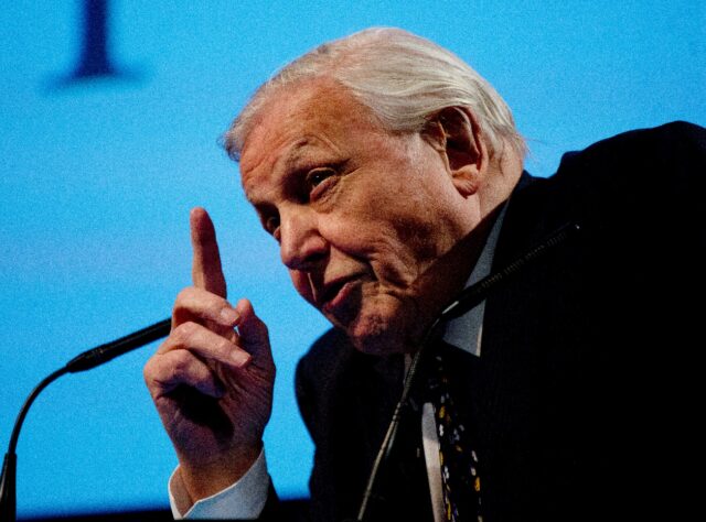 Sir David Attenborough © David Bebber