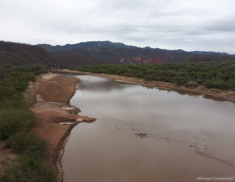 Fundación Natura Bolivia - World Land Trust