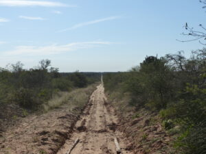 Road through the dry chaco © Hugo Cabral
