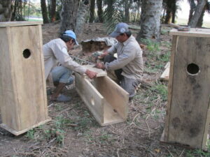 Rangers building Blue-throated Macaw nestboxes ©WLT/Charlotte Beckham