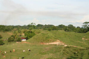 An area of El Silencio prior to reforestation ©Fundacion Biodiversida Colombia