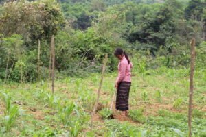 A woman farming the land©Charlie Langan / WLT