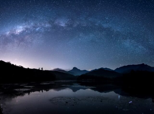 Brazil's Atlantic Forest at night