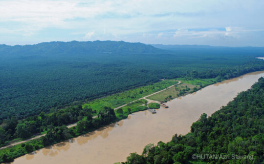 RS20395_HUTAN-Azri-Sawang3-scr