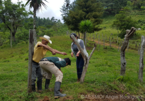 AESMO assisting a farmer who's livestock have been attacked by Puma