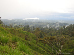 A view of deforestation, Ecuador