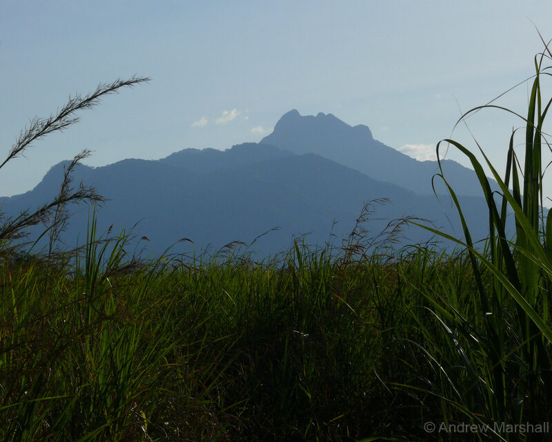 A view of Magombera Reserve