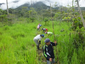 Tree planting at Nangaritza