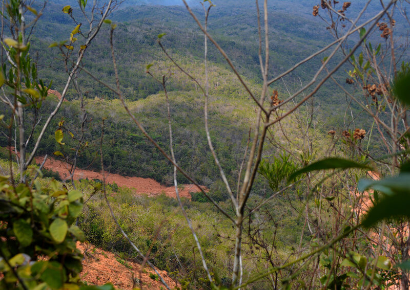 Rondo habitat, Tanzania