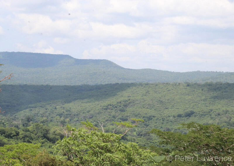 View of Tanzania landscape