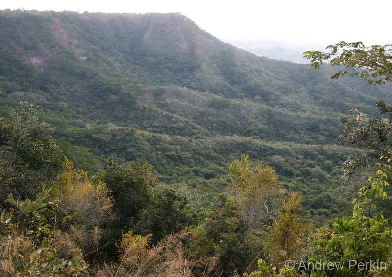 A view of forest landscape, Tanzania