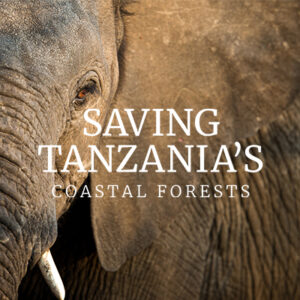 Saving Tanzania's Coastal Forests