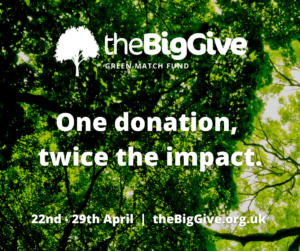 The Big Give event