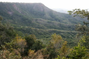Rondo Plateau, Tanzania
