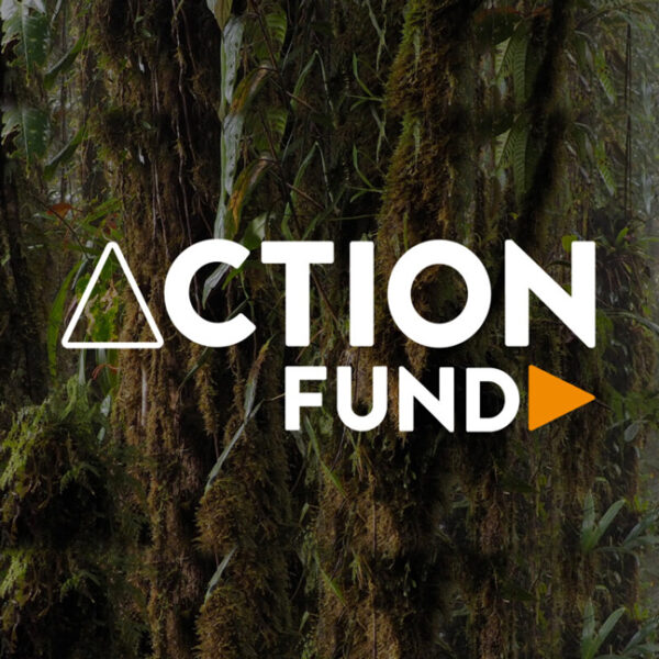 Action Fund Impact