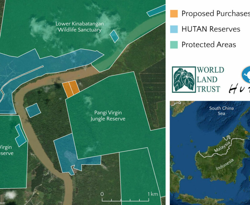 Borneo appeal map