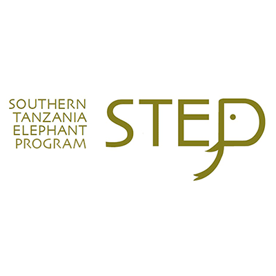 STEP logo