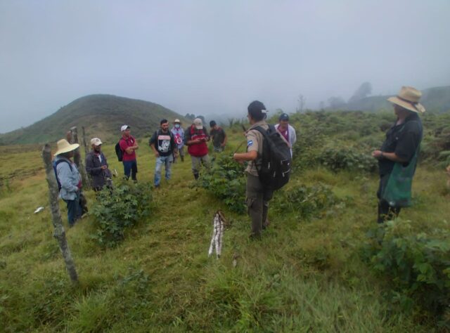 Resultado de imagen de trekking look