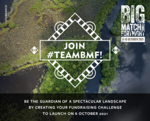 Join TEAMBMF