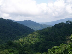A view of Khe Nuoc Trong mountains and forest in Vietnam