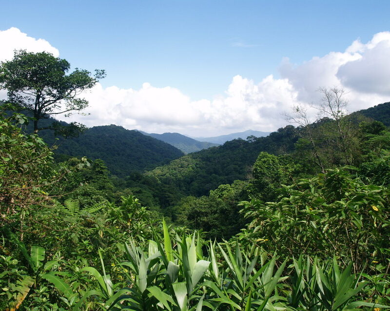 A view of Khe Nuoc Trong, Vietnam