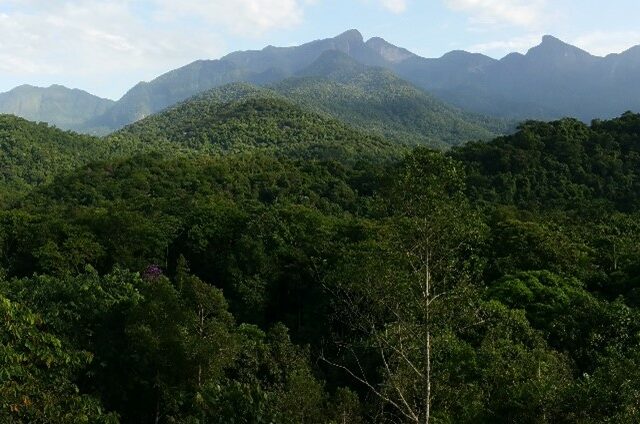 COP26: Brazil's REGUA as a model of ecosystem restoration amidst
