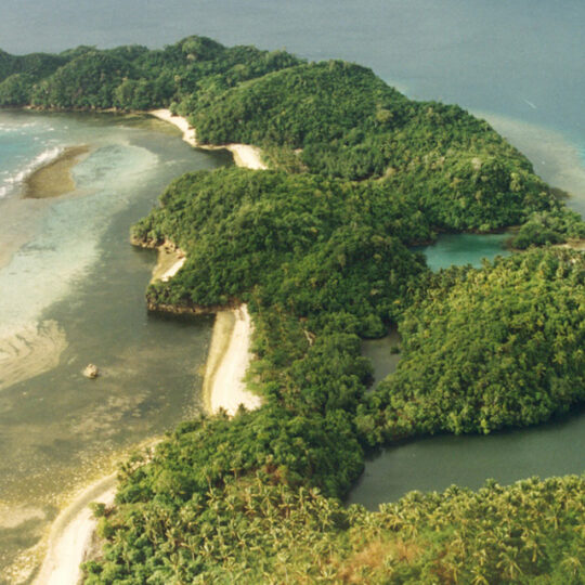 Danjugan Island