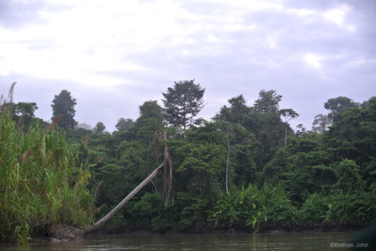 Rana Terriblis Reserve, Colombia
