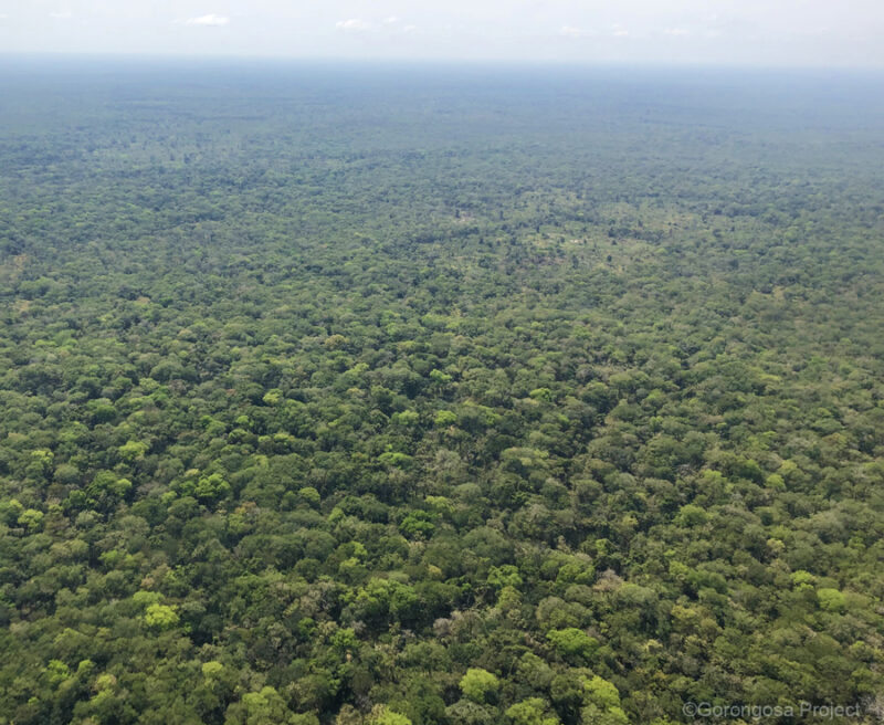 LOFE-Reserve-aerial-view