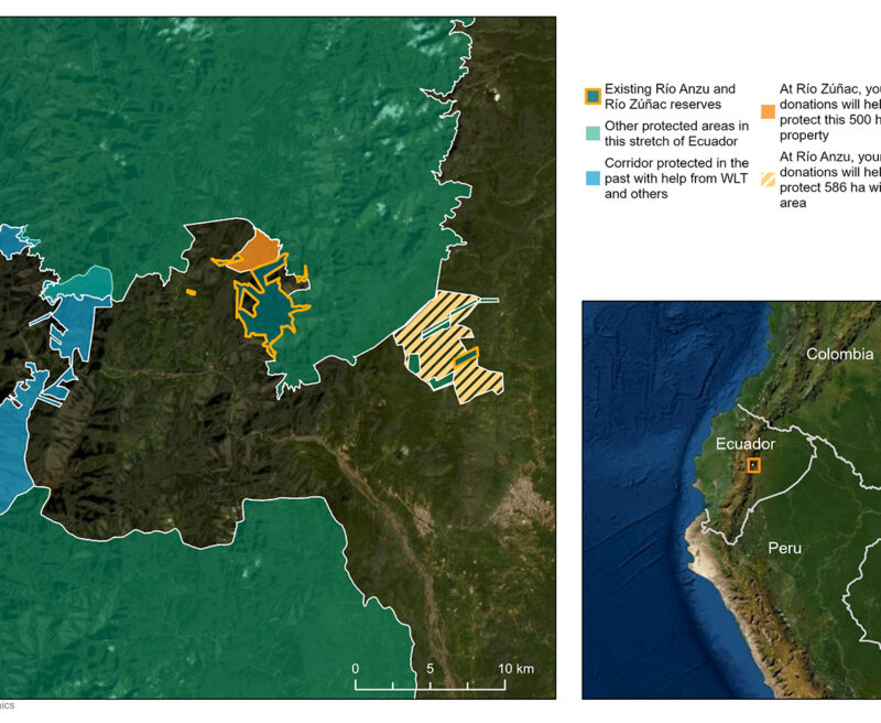 Life on the Edge Appeal Map