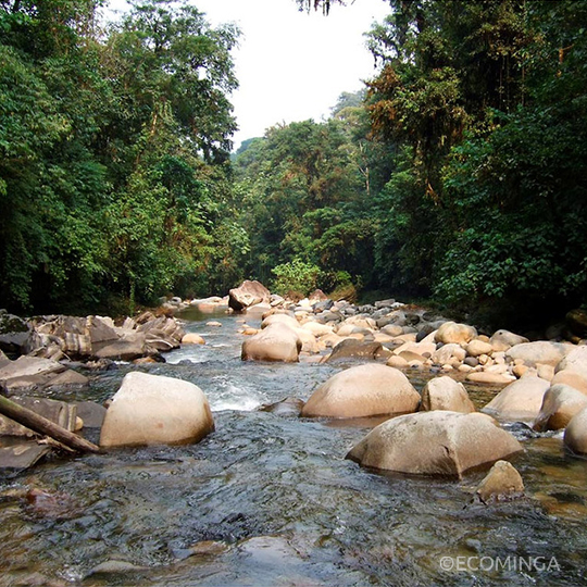 View-of-Rio-Anzu