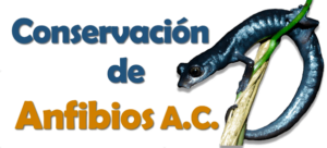 Conservación de Anfibios logo