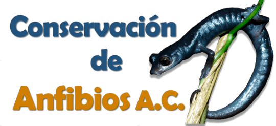 MicrosoftTeams-image (2) Conservación de Anfibios logo