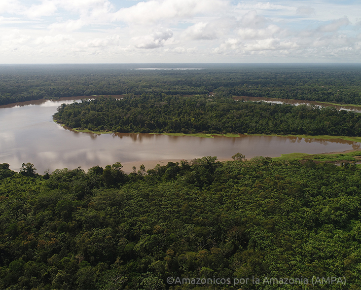 View showing flooded areas of forest within Bajo Huallaga
