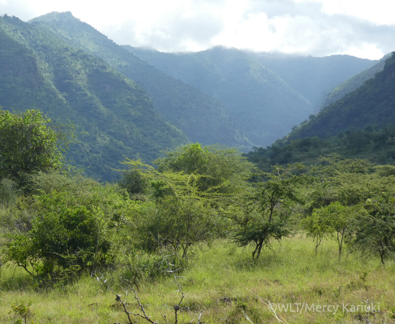 View of Mt. Moroto