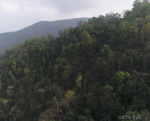Chinese Pangolin protected area, Siwalik Foothills of Nepal